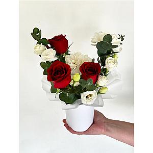 Композиция 1501