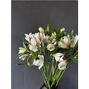 Альстромерия 9 шт
