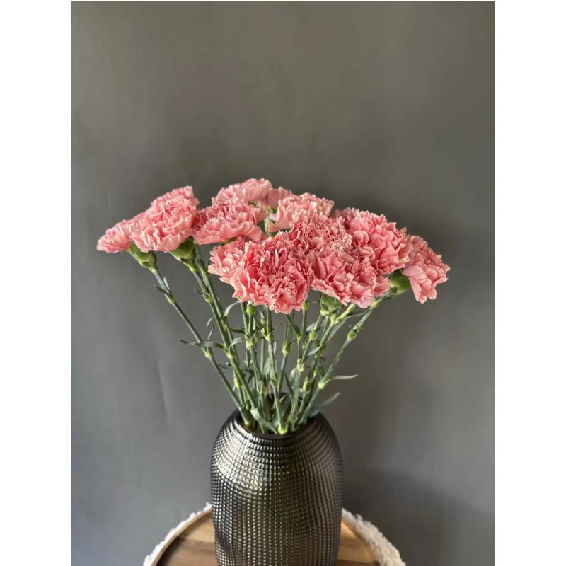 Гвоздика 15 шт